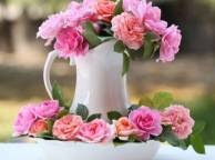 Девушка Цветы розы, кувшин, бутоны обои рабочий стол