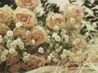 Девушка Цветы розы, романтика, нежность обои рабочий стол