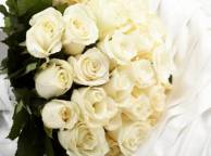 Девушка Цветы розы, белые, букет, ткань обои рабочий стол