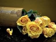 Девушка Цветы розы, цветы, ваза, поверхность, листья, желтые обои рабочий стол