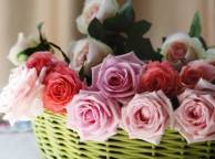 Девушка Цветы розы, бутоны, корзинка обои рабочий стол
