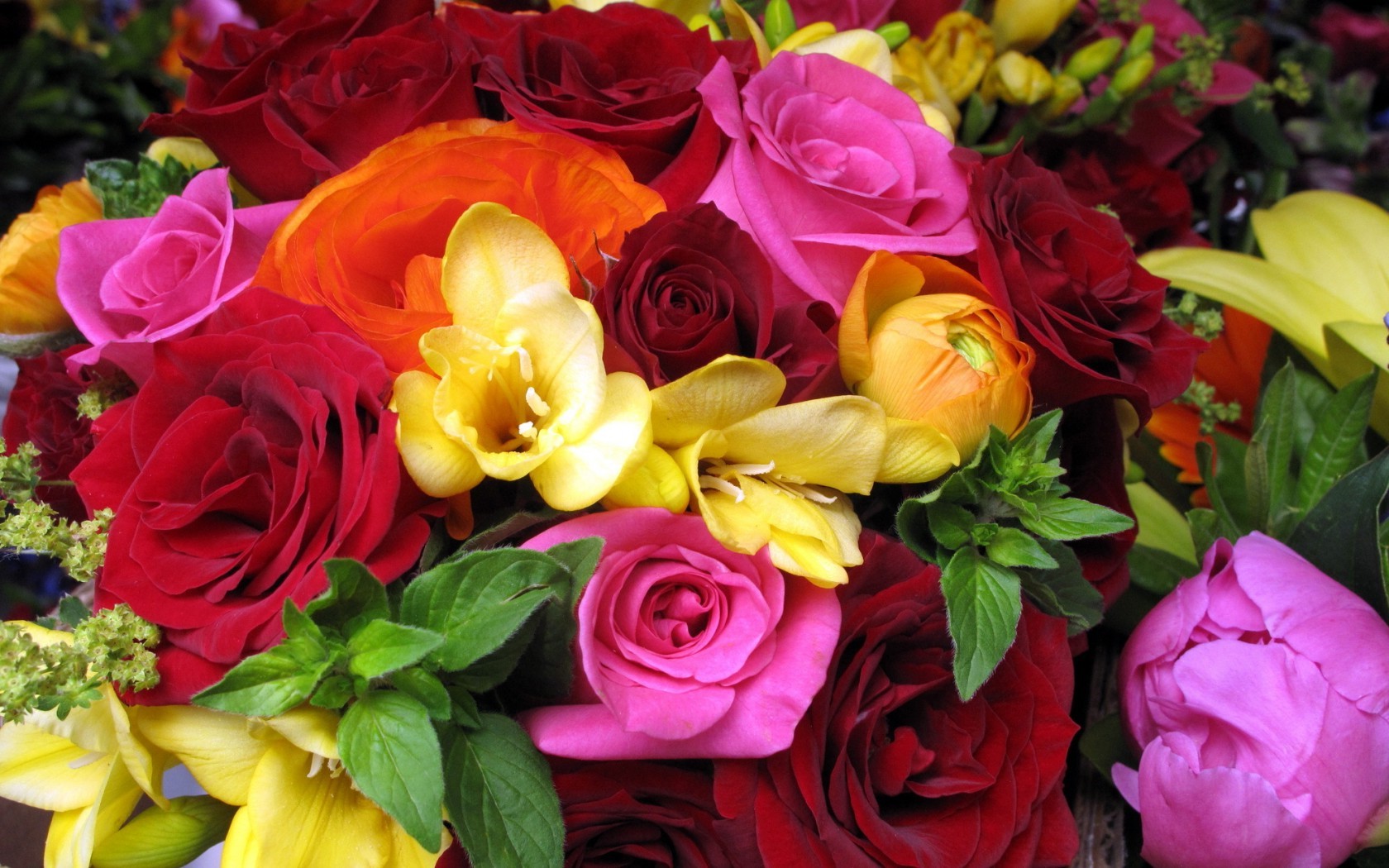  Цветы розы, красные, розовые, оранжевые, цветы, букет картинка, обои рабочий стол