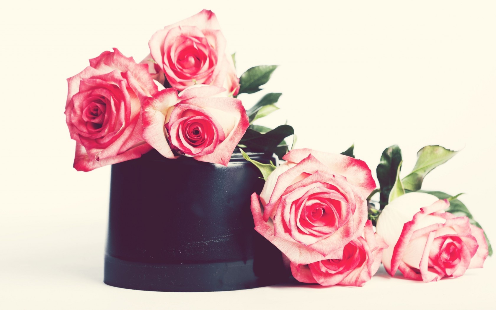  Цветы цветы, розы, розовые картинка, обои рабочий стол