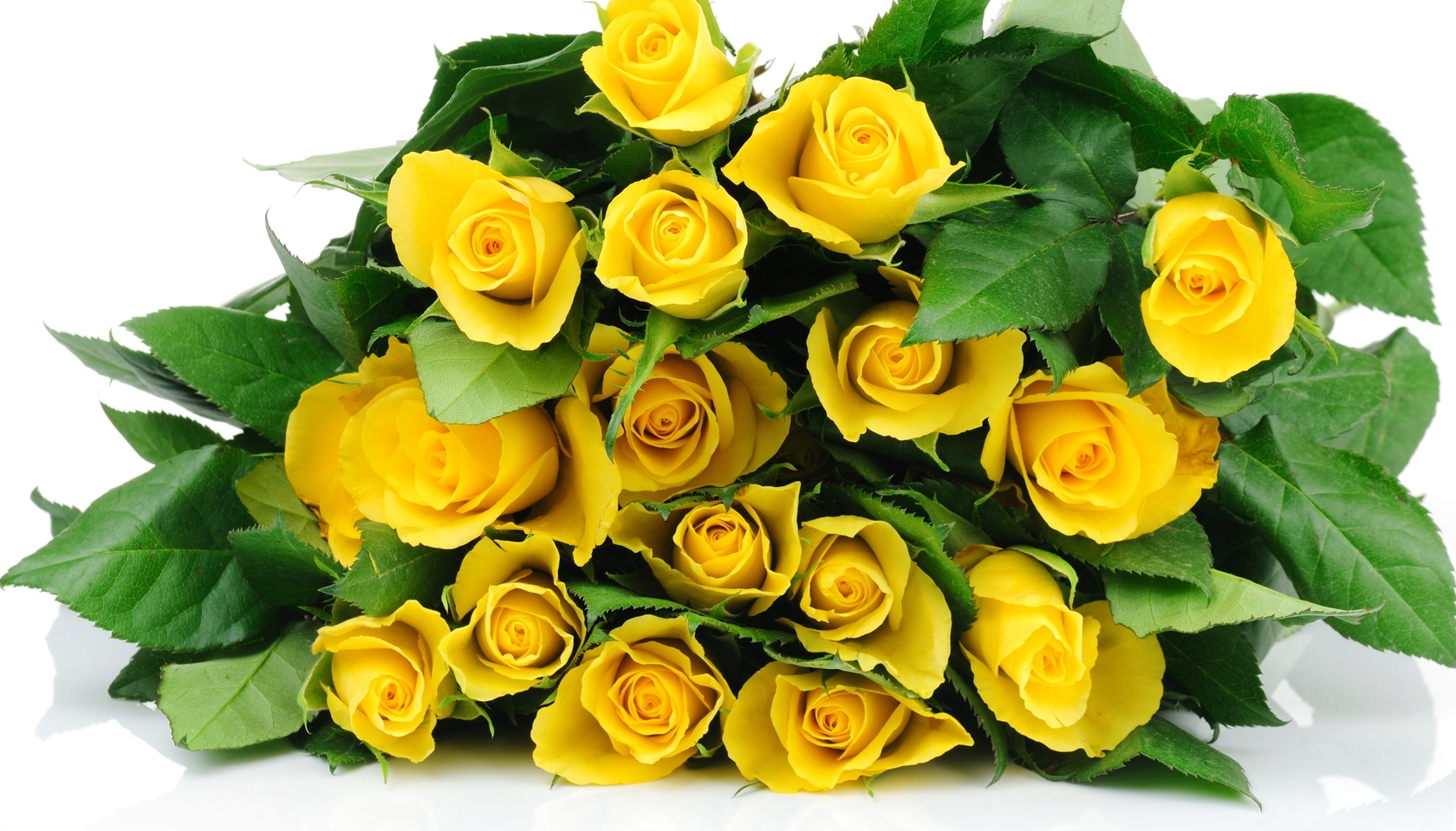 Природа, пейзаж Цветы розы, желтые, букет, бутоны, листья, белый фон красивые обои рабочий стол