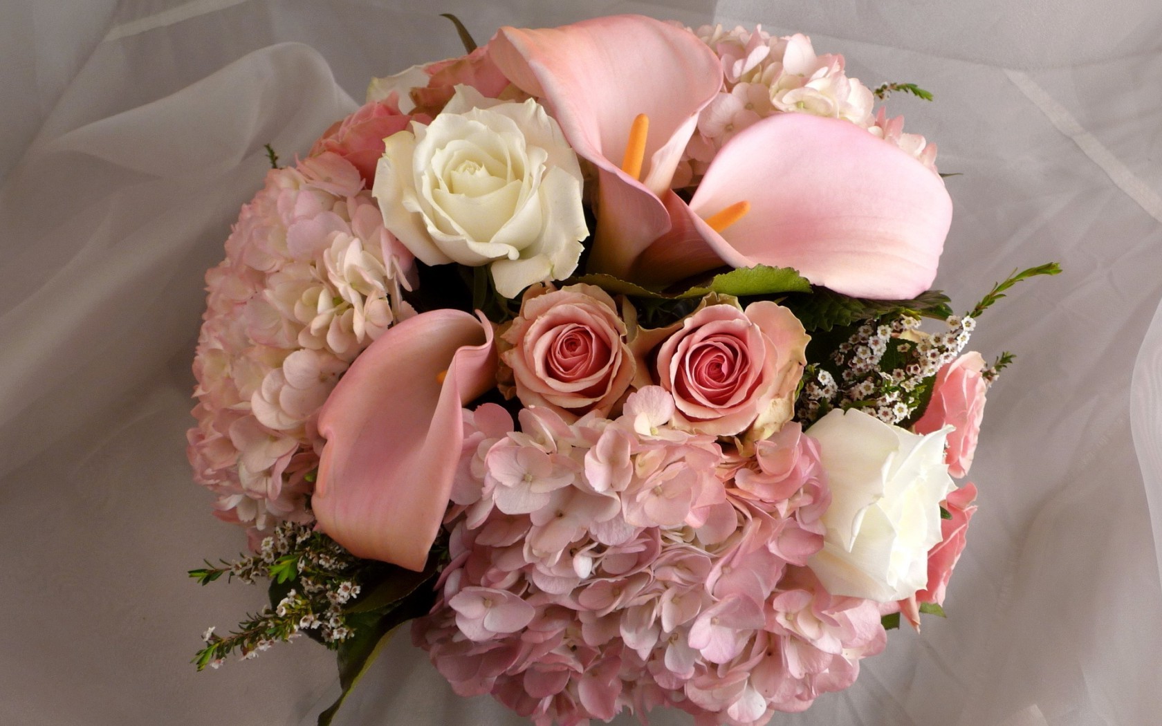  Цветы розы, белые, розовые, цветы, цветок, букет, каллы картинка, обои рабочий стол