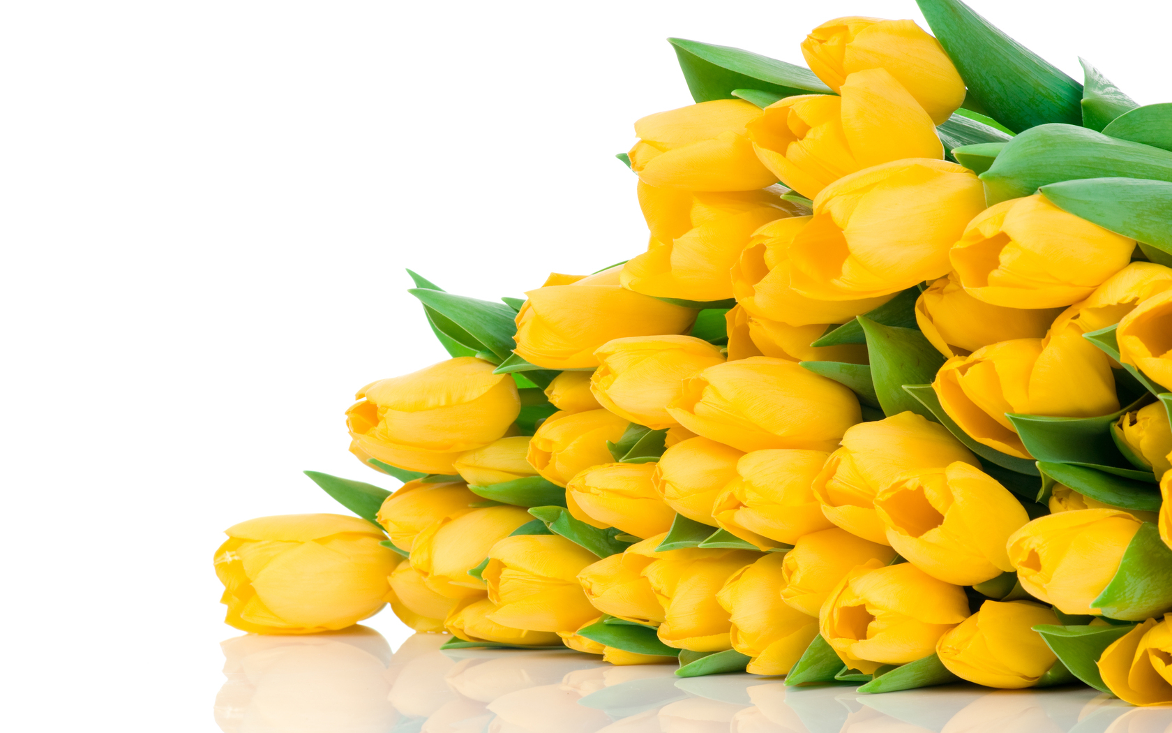 Природа, пейзаж Цветы жёлтые тюльпаны, бутоны, букет красивые обои рабочий стол