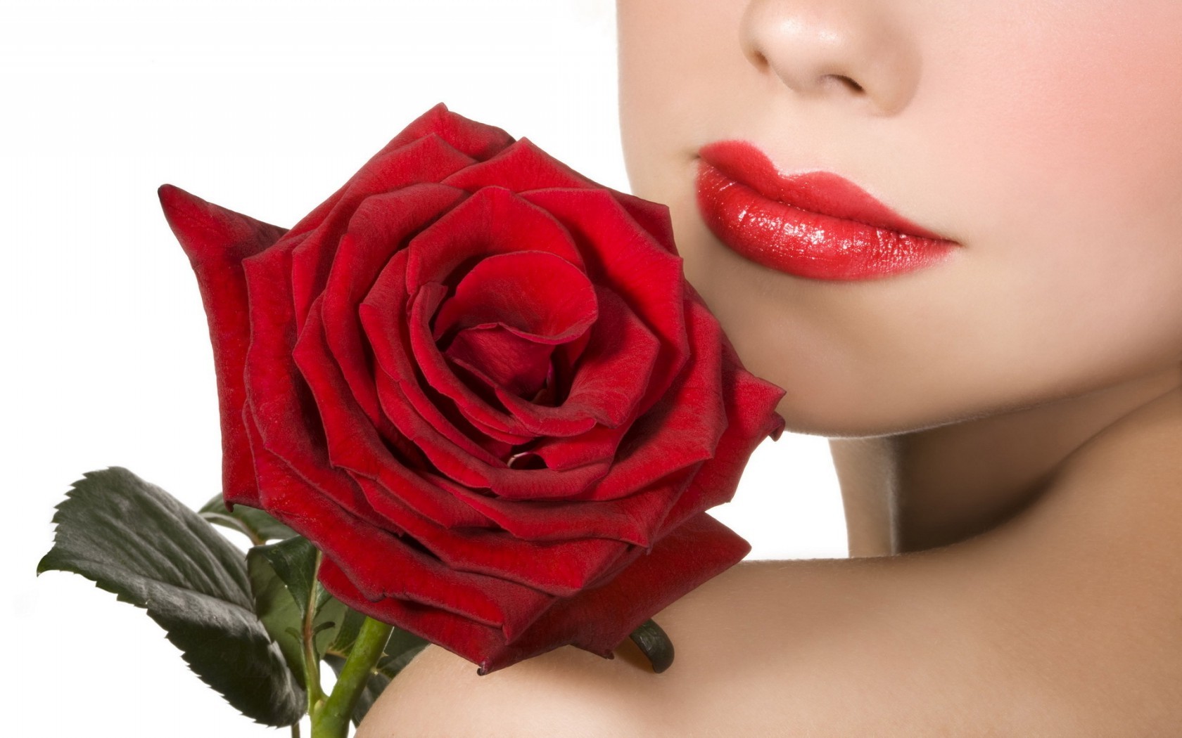  Цветы розы, красная, цветы, цветок, девушка, губы картинка, обои рабочий стол