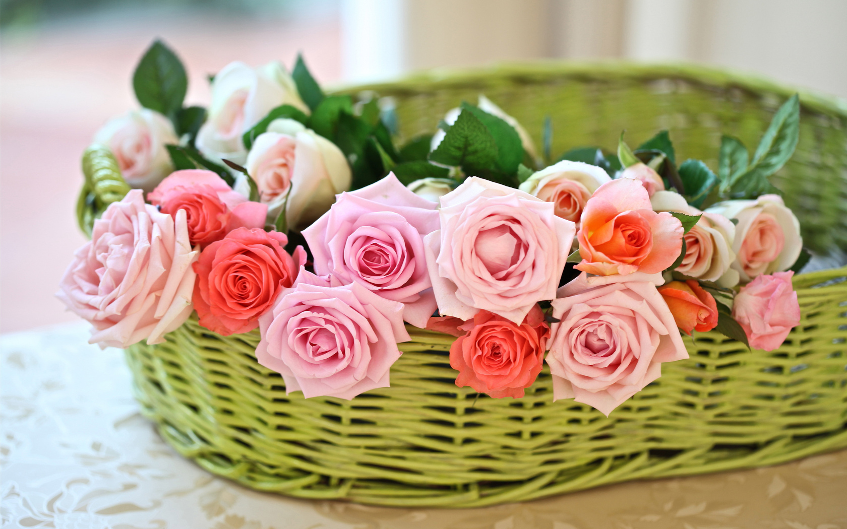 Цветы розы, бутоны, корзина картинка, обои рабочий стол