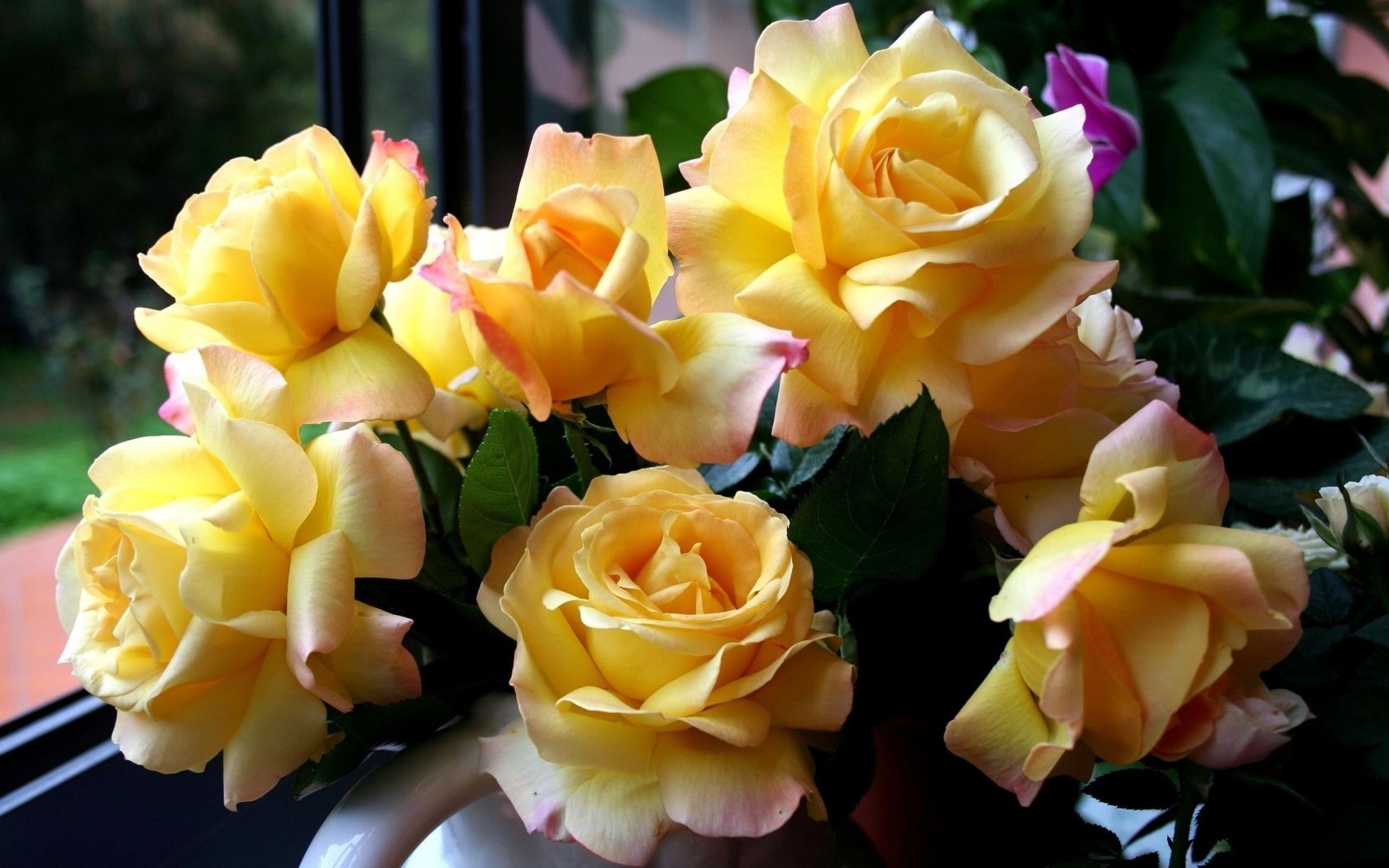  Цветы розы, жёлтые, цветы, красивые, желтые, букет картинка, обои рабочий стол
