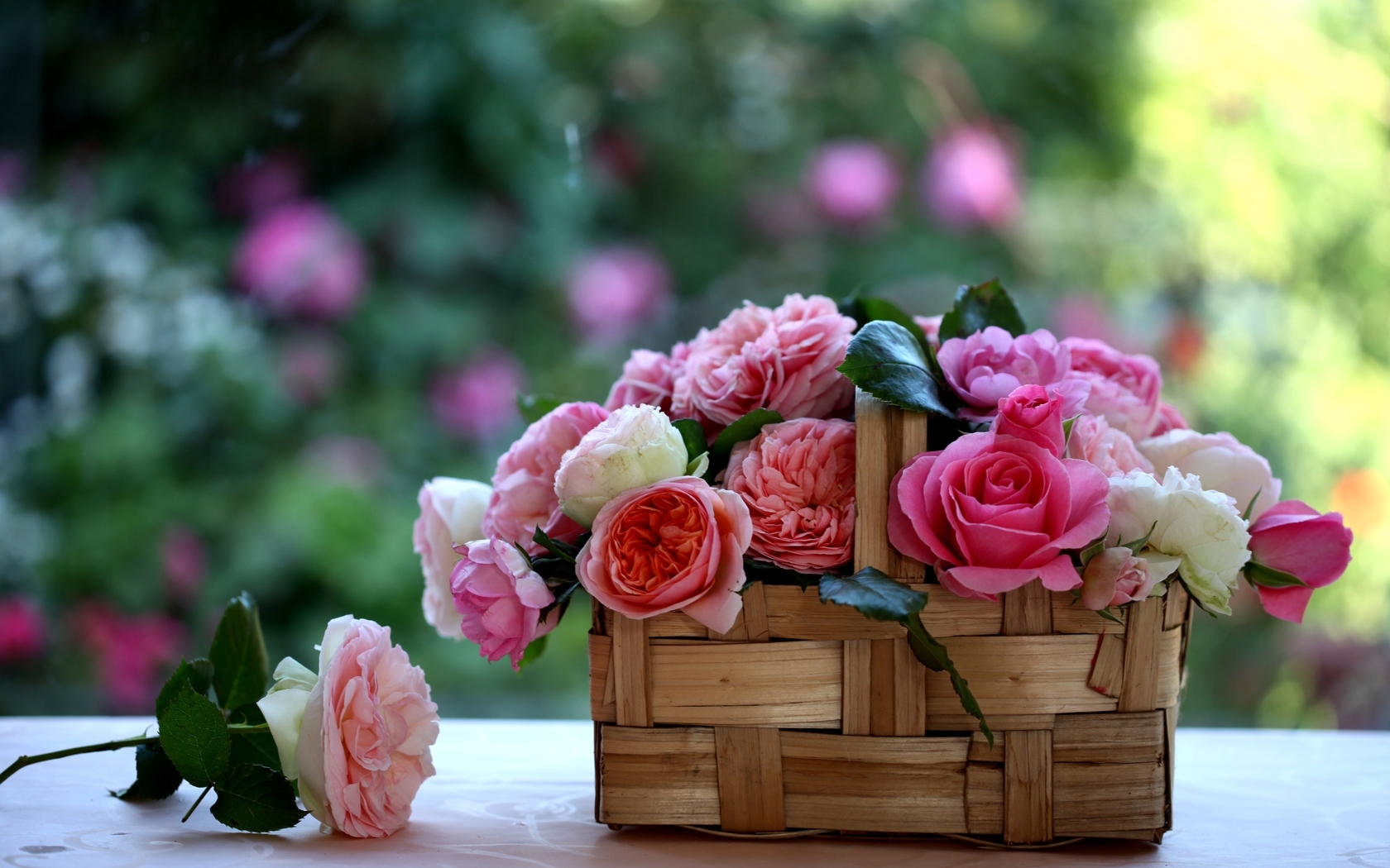 Природа, пейзаж Цветы розы, корзинка, лукошко красивые обои рабочий стол