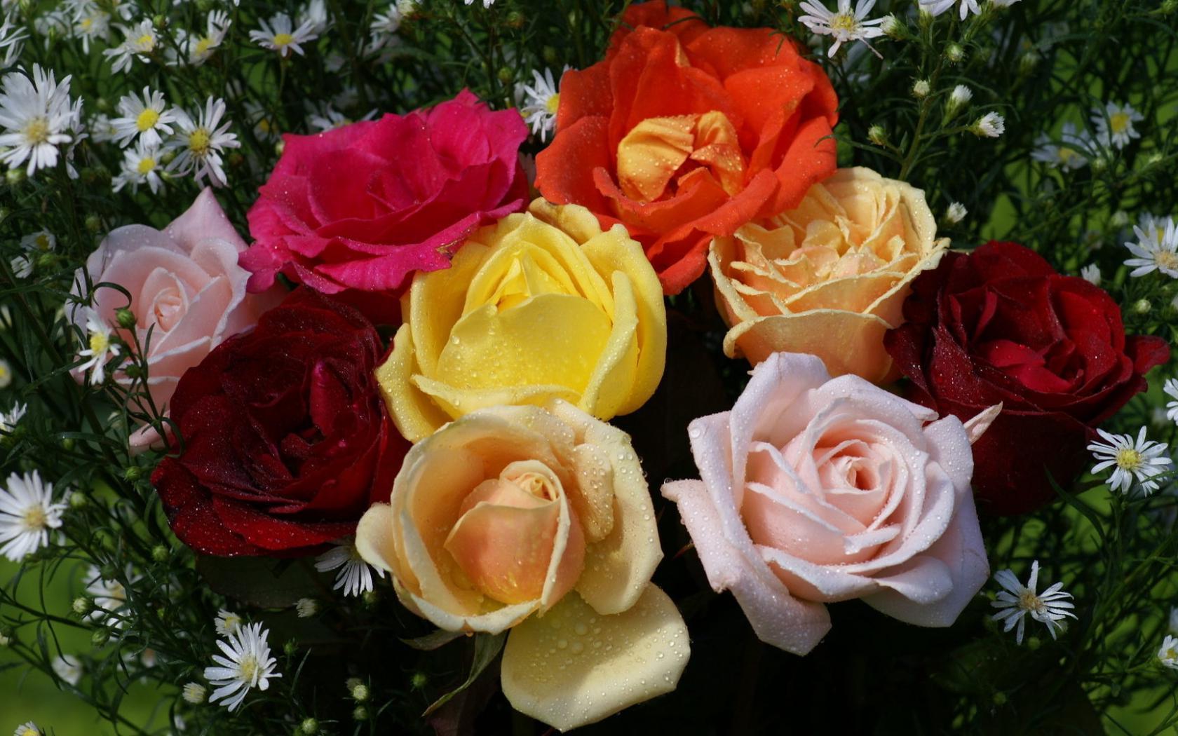  Цветы цветы, букет, розы, капли картинка, обои рабочий стол
