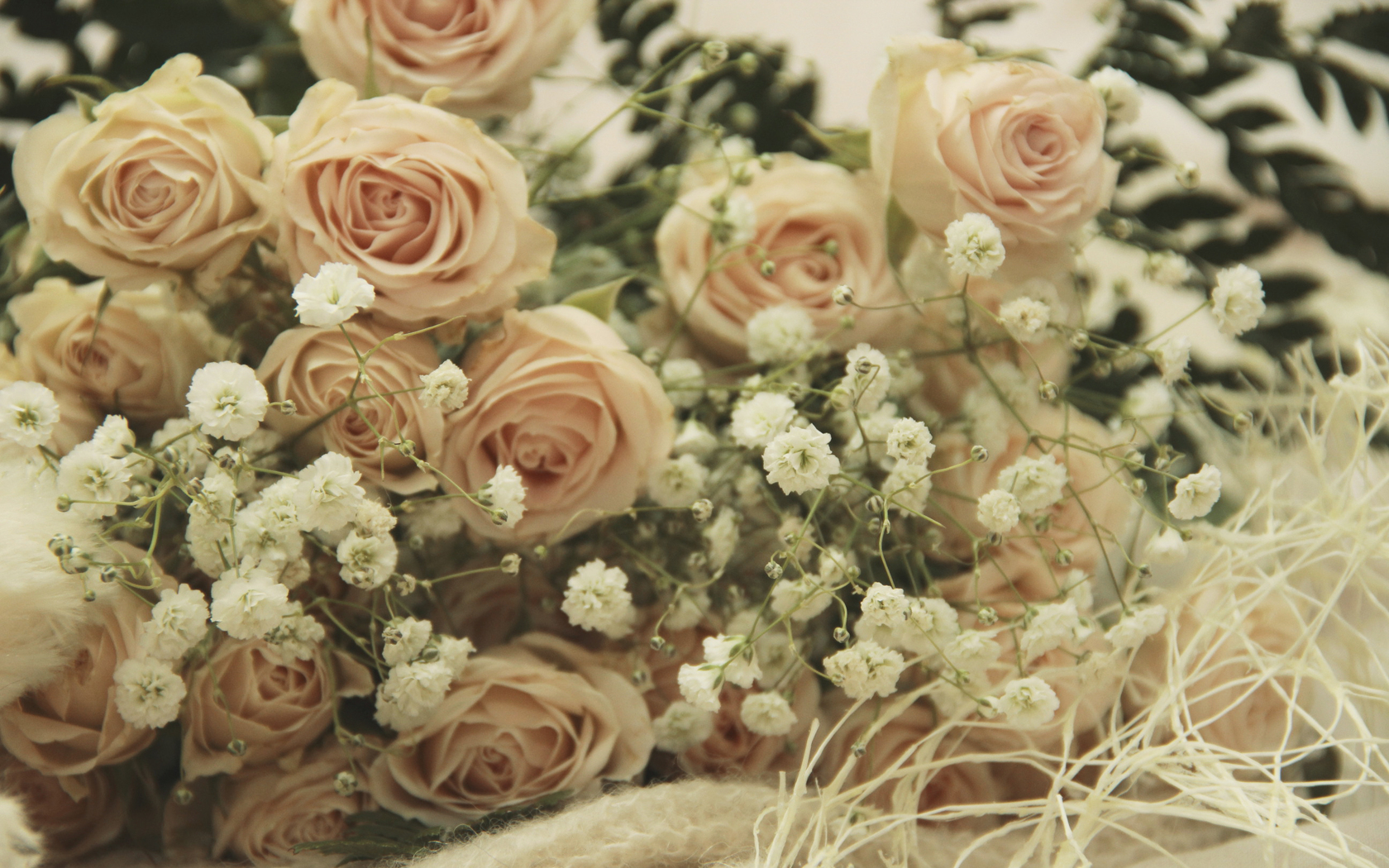  Цветы розы, романтика, нежность картинка, обои рабочий стол