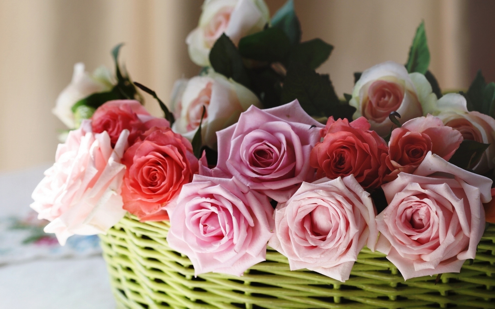  Цветы розы, бутоны, корзинка картинка, обои рабочий стол