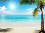 Девушка Море пальмы, пальма, берег, вода, песок обои рабочий стол
