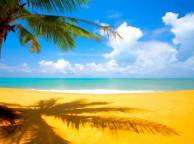 Девушка Море пальма, пляж, песок, облака, тропики обои рабочий стол