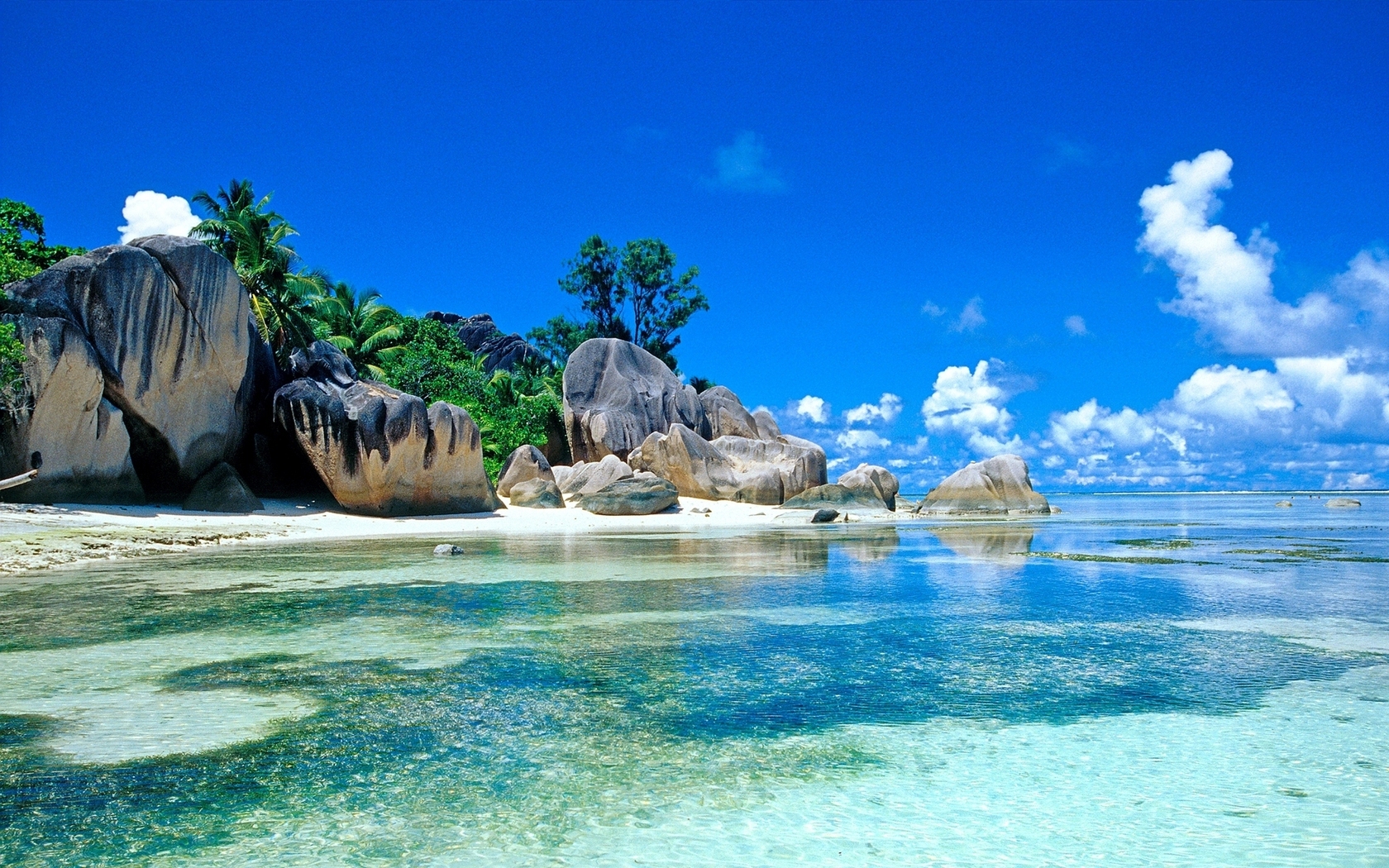 Природа, пейзаж Море Сейшелы, тропики, пальмы красивые обои рабочий стол