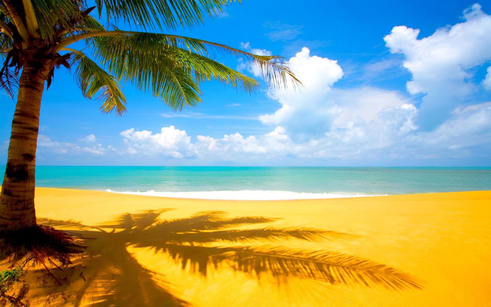 Природа, пейзаж Море пальма, пляж, песок, облака, тропики красивые обои рабочий стол