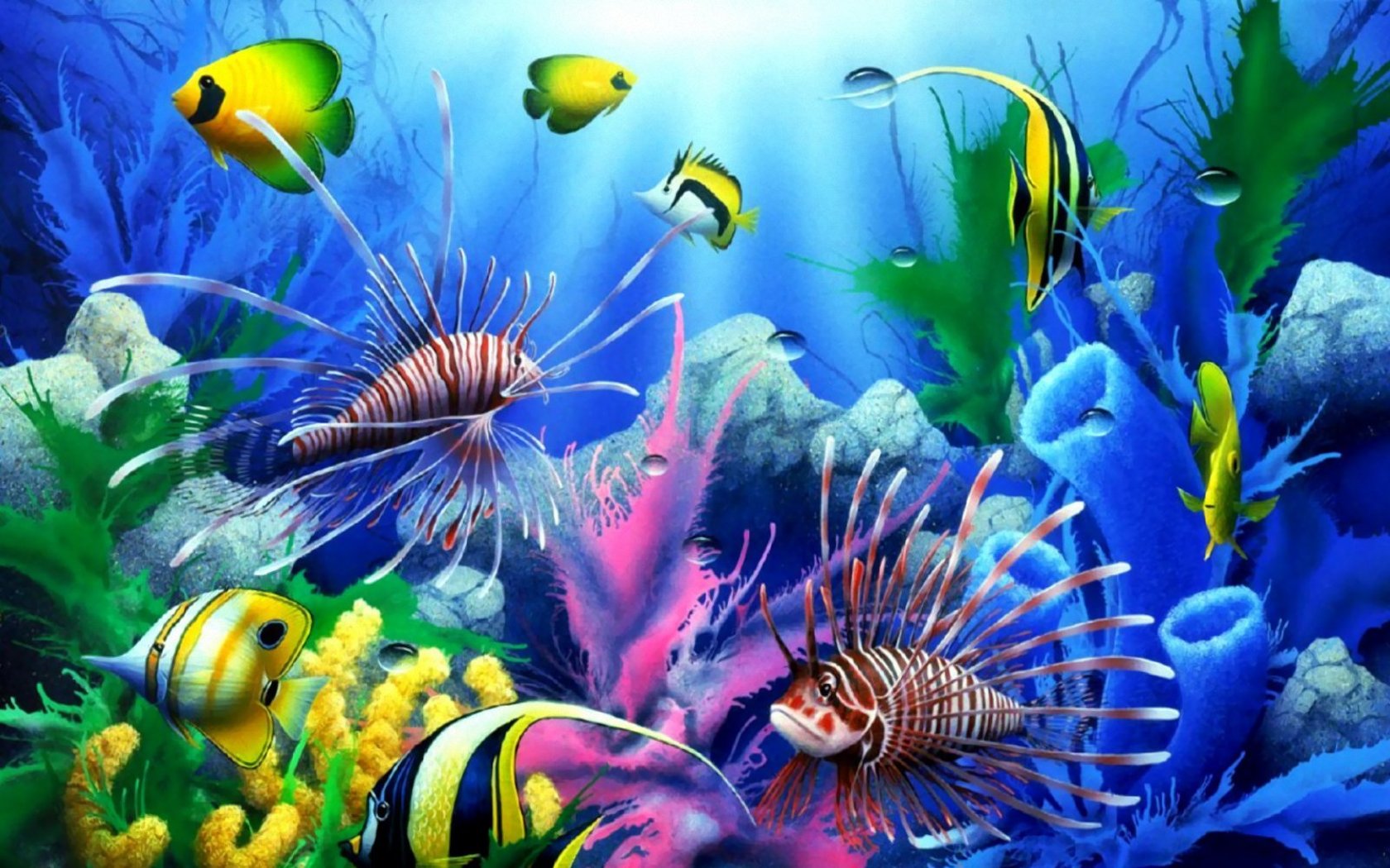 Природа, пейзаж Море рыбы, подводный мир красивые обои рабочий стол