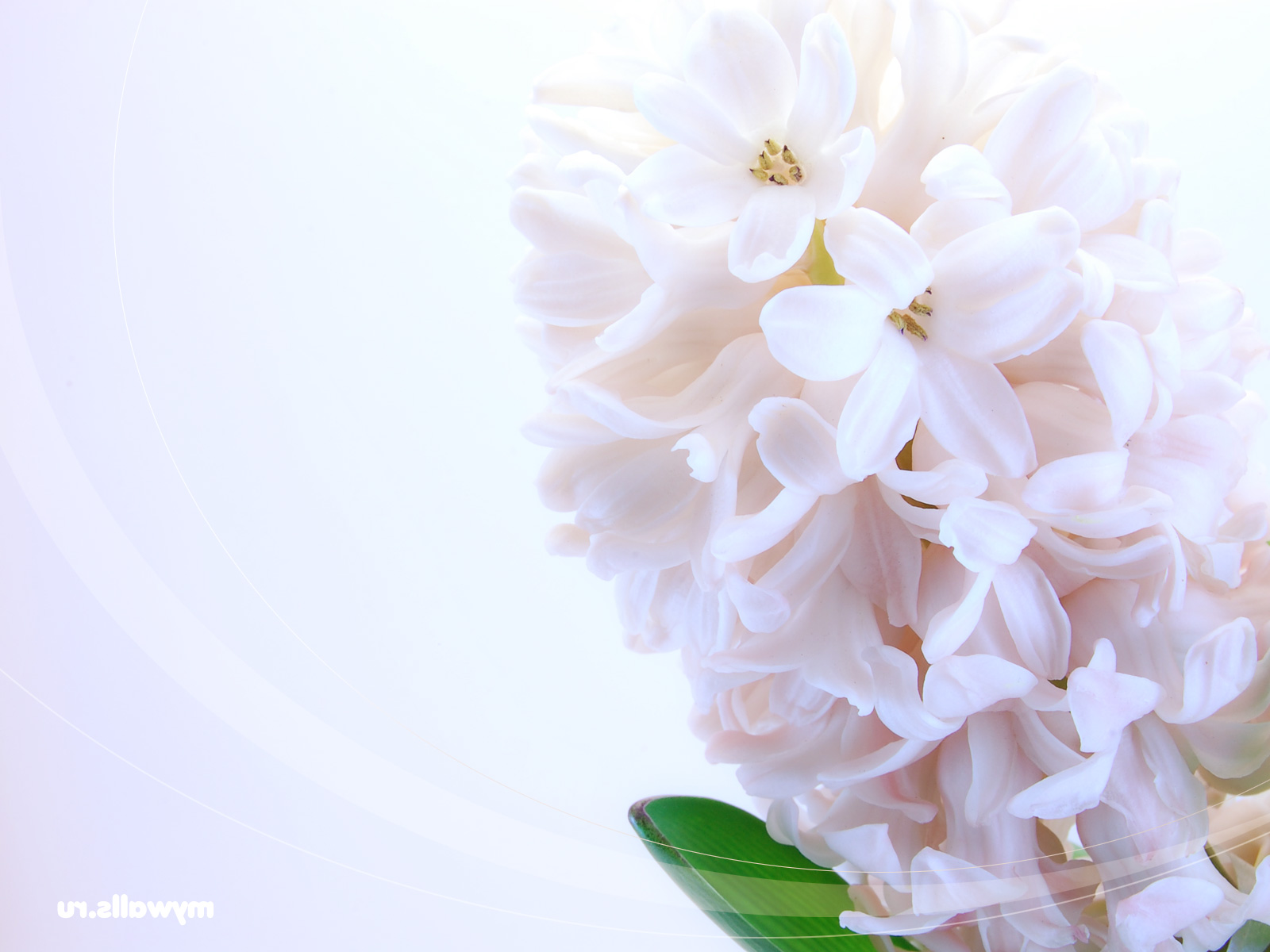  Весна Spring, wallpaper 0122 картинка, обои рабочий стол