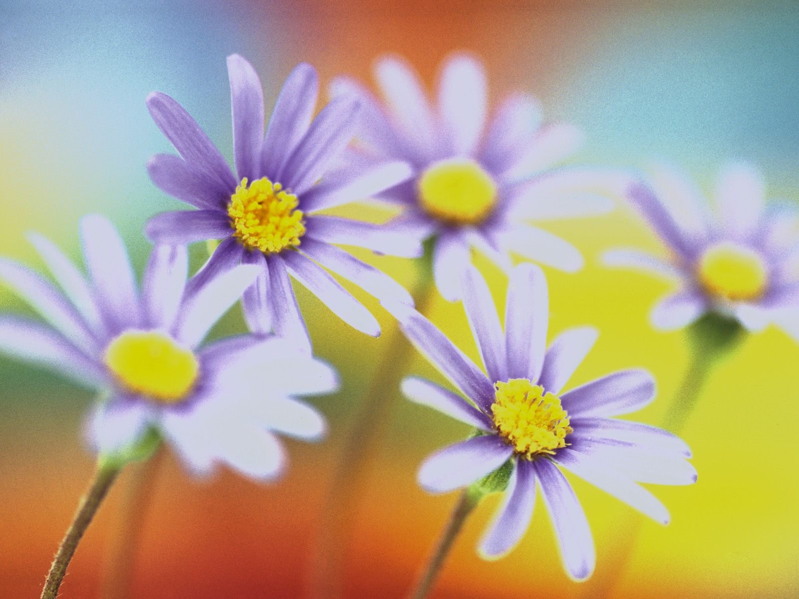  Весна Spring, wallpaper 0129 картинка, обои рабочий стол