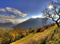 Девушка Лето summer, nature, wallpaper 3132 обои рабочий стол
