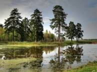 Девушка Лето summer, nature, wallpaper 3135 обои рабочий стол