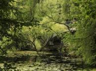 Девушка Лето summer, nature, wallpaper 3129 обои рабочий стол