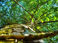 Девушка Лето summer, nature, wallpaper 3193 обои рабочий стол