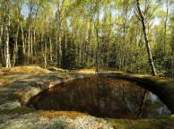 Девушка Лето summer, nature, wallpaper 3140 обои рабочий стол