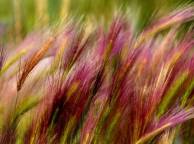 Девушка Лето summer, nature, wallpaper 3155 обои рабочий стол