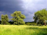 Девушка Лето summer, nature, wallpaper 3186 обои рабочий стол