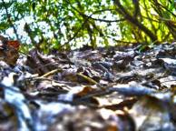 Девушка Лето summer, nature, wallpaper 3189 обои рабочий стол