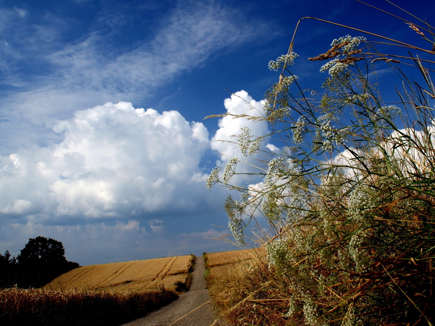 Природа, пейзаж Лето summer, nature, wallpaper 3173 красивые обои рабочий стол