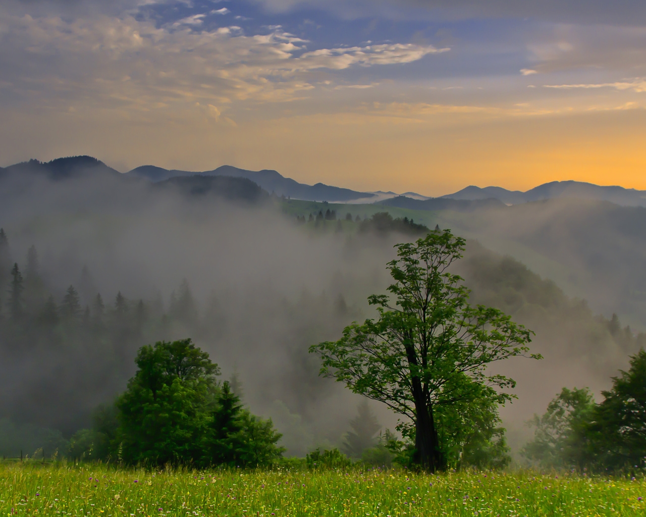 Природа, пейзаж Лето summer, nature, wallpaper 13 красивые обои рабочий стол