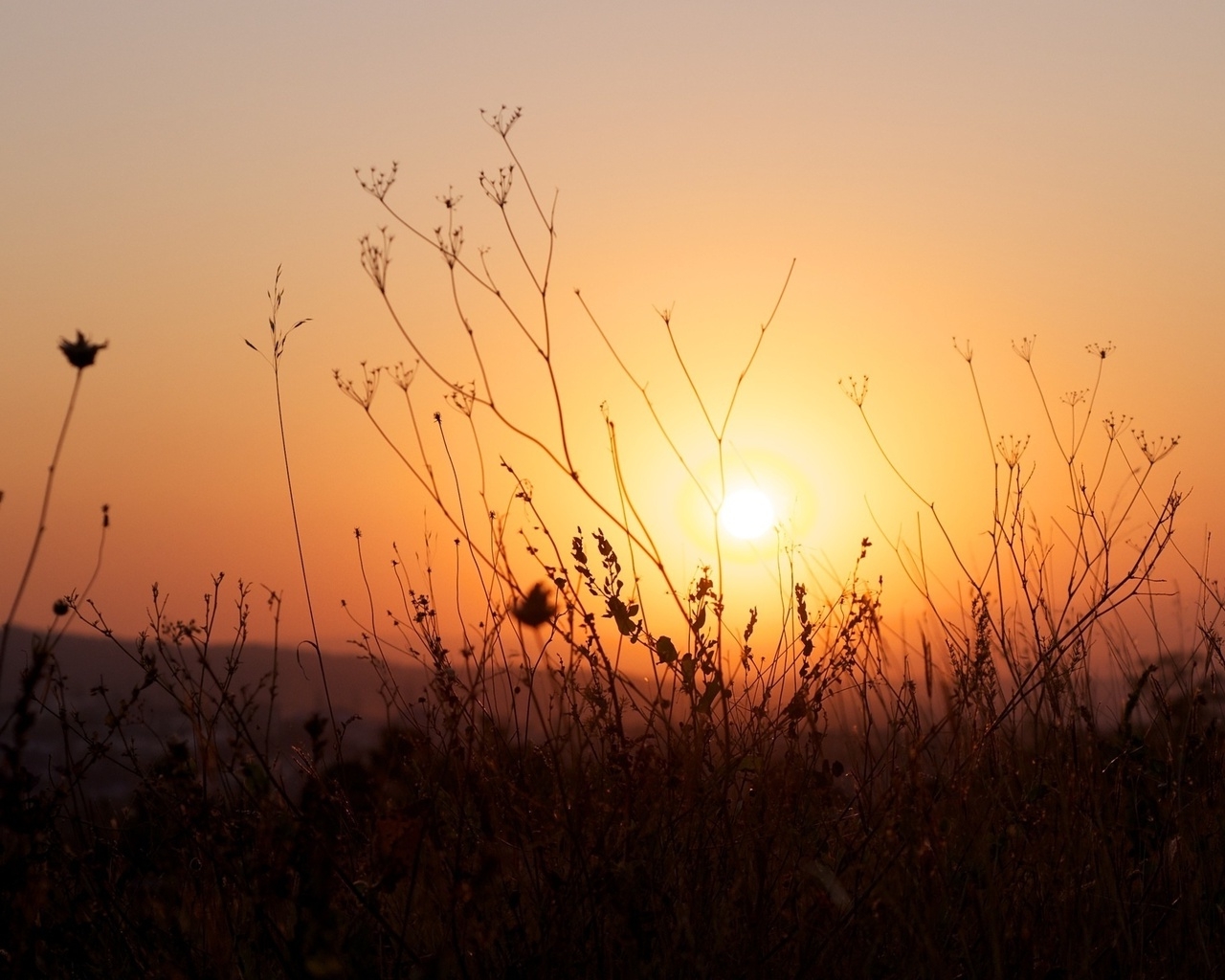 Природа, пейзаж Лето summer, nature, wallpaper4 красивые обои рабочий стол