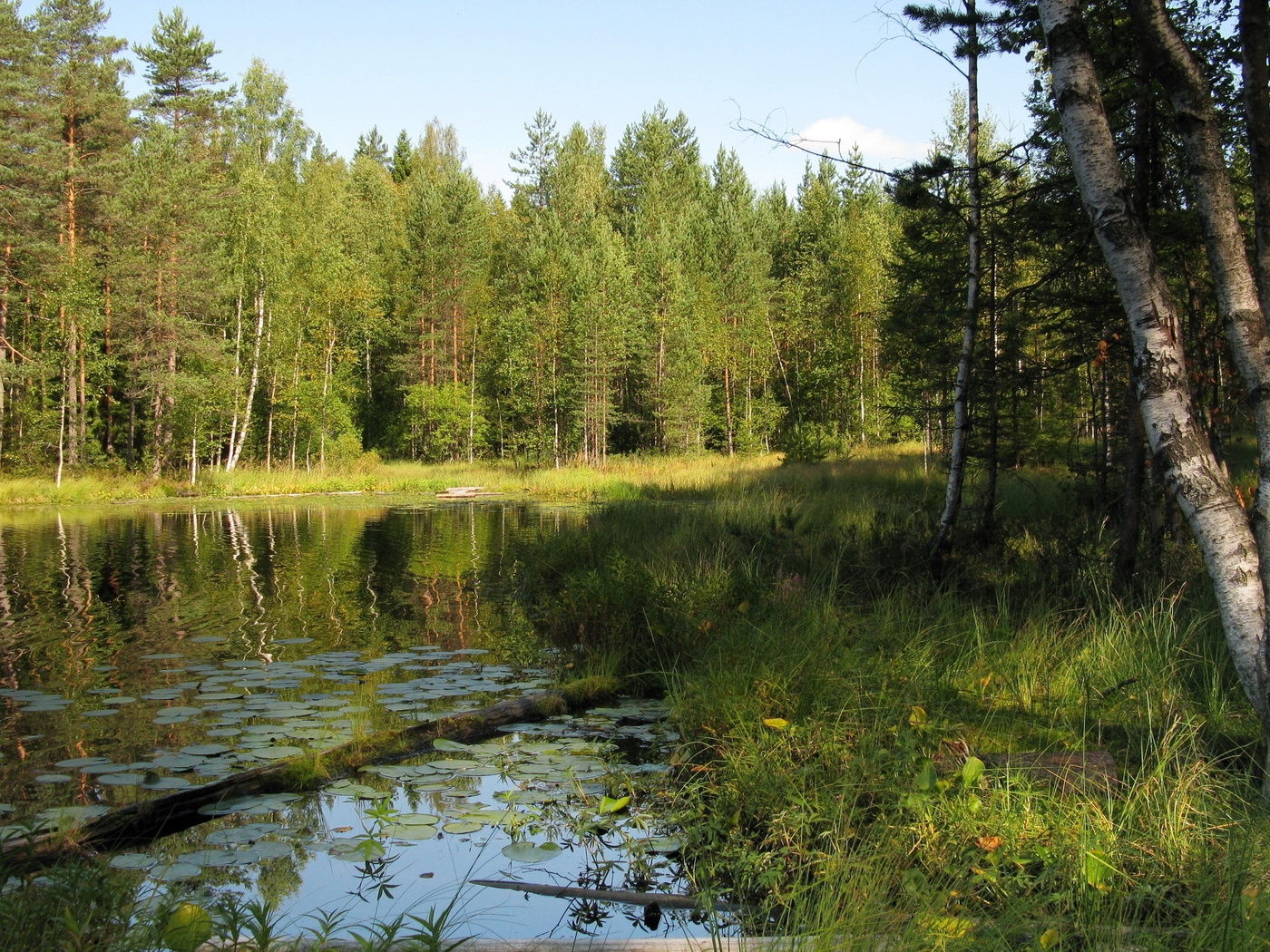 Природа, пейзаж Лето summer, nature, wallpaper 3166 красивые обои рабочий стол