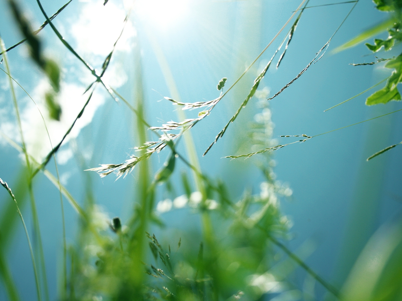 Природа, пейзаж Лето summer, nature, wallpaper 322 красивые обои рабочий стол