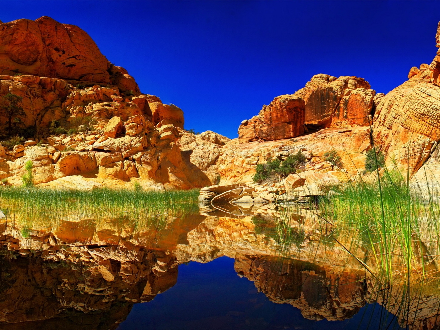 Природа, пейзаж Лето summer, nature, wallpaper 3174 красивые обои рабочий стол