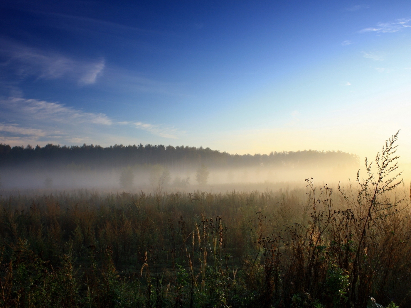 Природа, пейзаж Лето summer, nature, wallpaper 3165 красивые обои рабочий стол