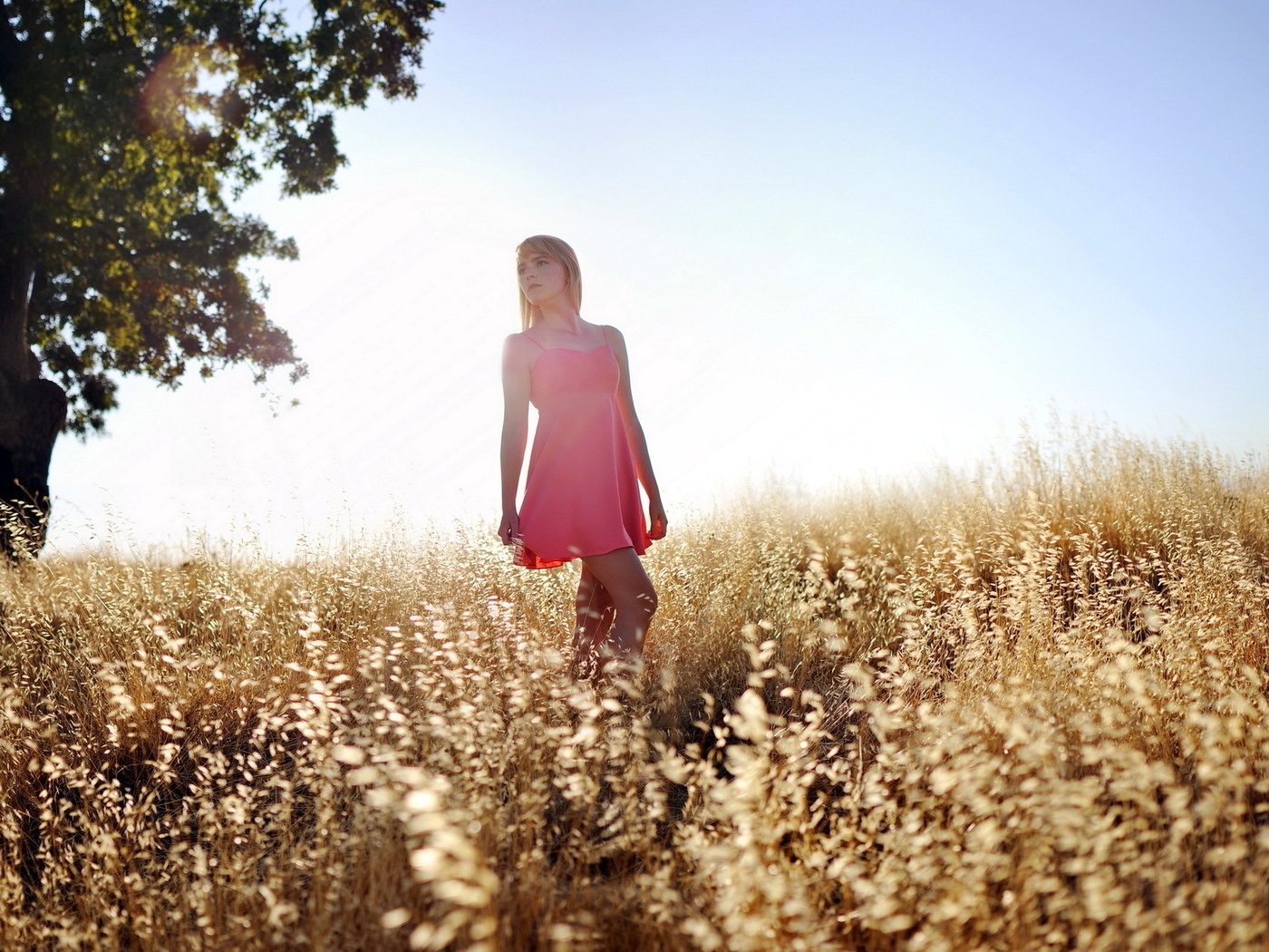 Природа, пейзаж Лето summer, nature, wallpaper 266 красивые обои рабочий стол