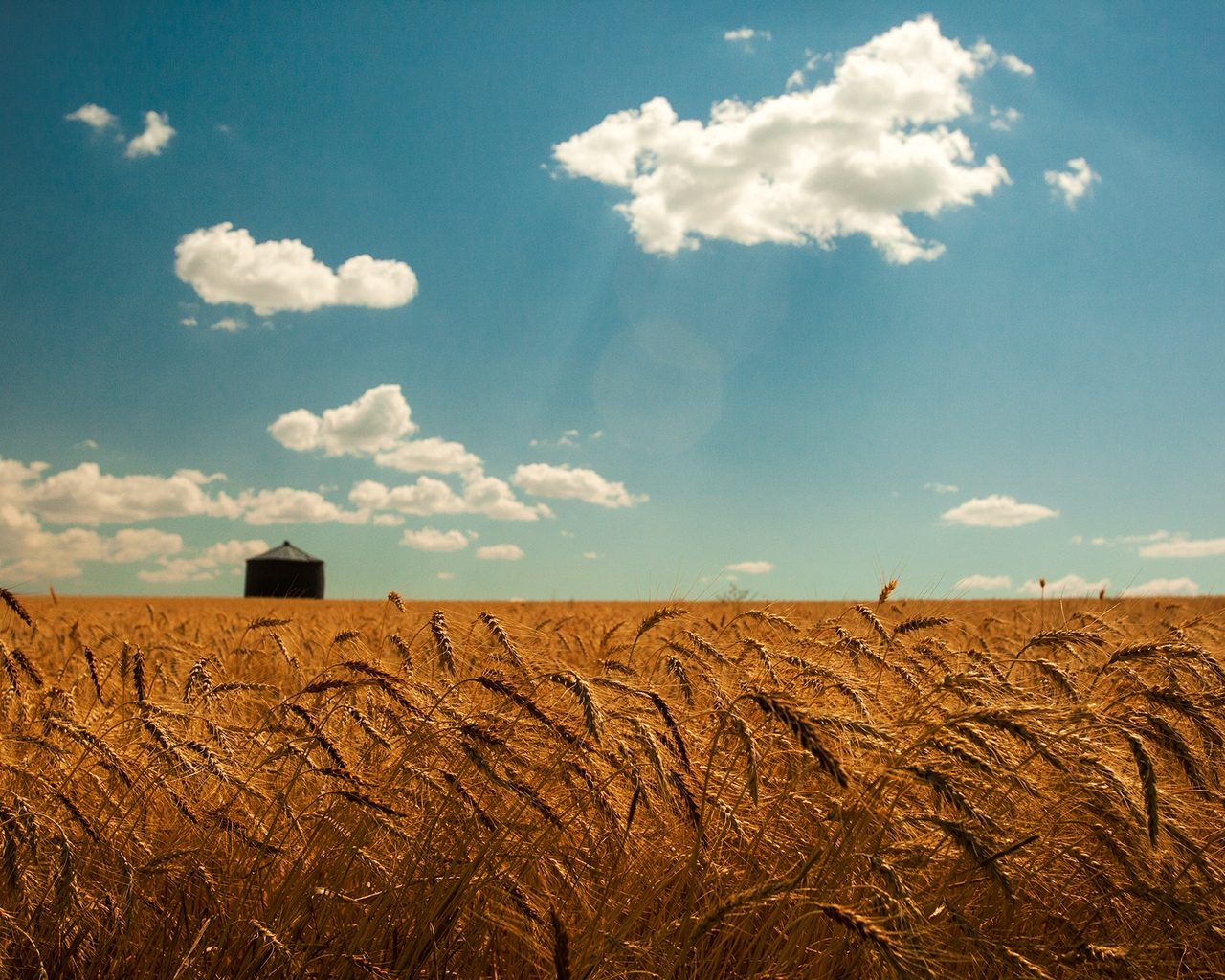 Природа, пейзаж Лето summer, nature, wallpaper 170 красивые обои рабочий стол