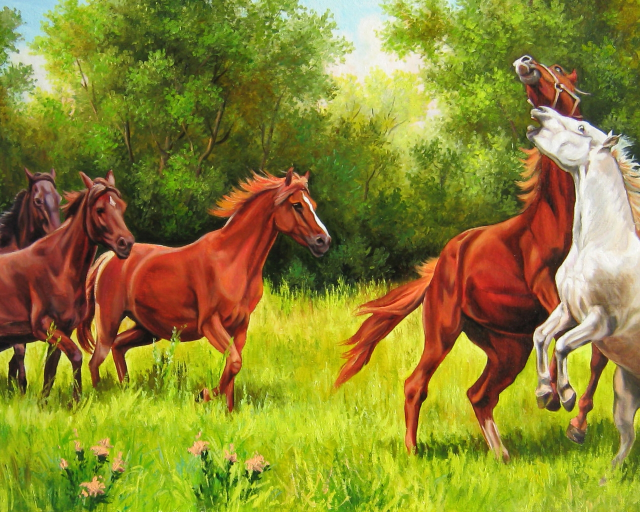 Природа, пейзаж Лето summer, nature, wallpaper40 красивые обои рабочий стол