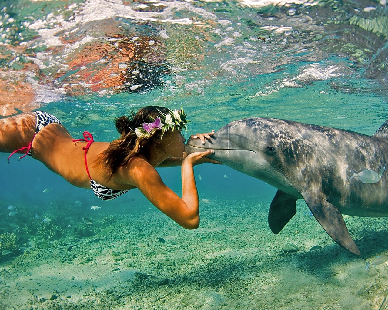 Природа, пейзаж Лето summer, nature, wallpaper 175 красивые обои рабочий стол
