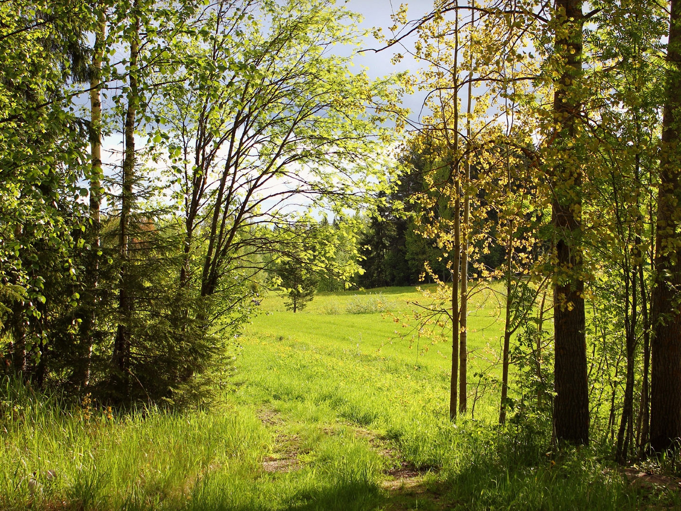 Природа, пейзаж Лето summer, nature, wallpaper 277 красивые обои рабочий стол