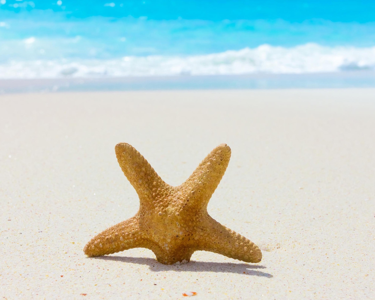 Природа, пейзаж Лето summer, nature, wallpaper 186 красивые обои рабочий стол