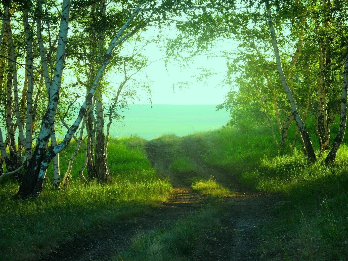 Природа, пейзаж Лето summer, nature, wallpaper 269 красивые обои рабочий стол