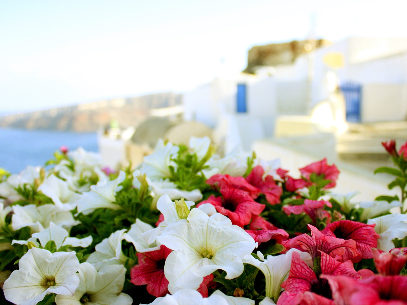 Природа, пейзаж Лето summer, nature, wallpaper 144 красивые обои рабочий стол