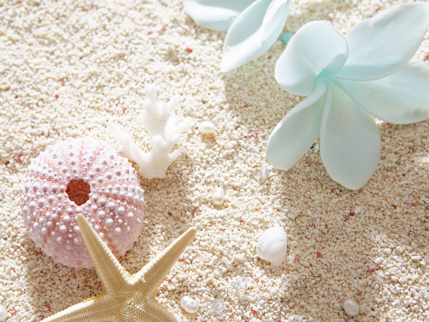 Природа, пейзаж Лето summer, nature, wallpaper 388 красивые обои рабочий стол