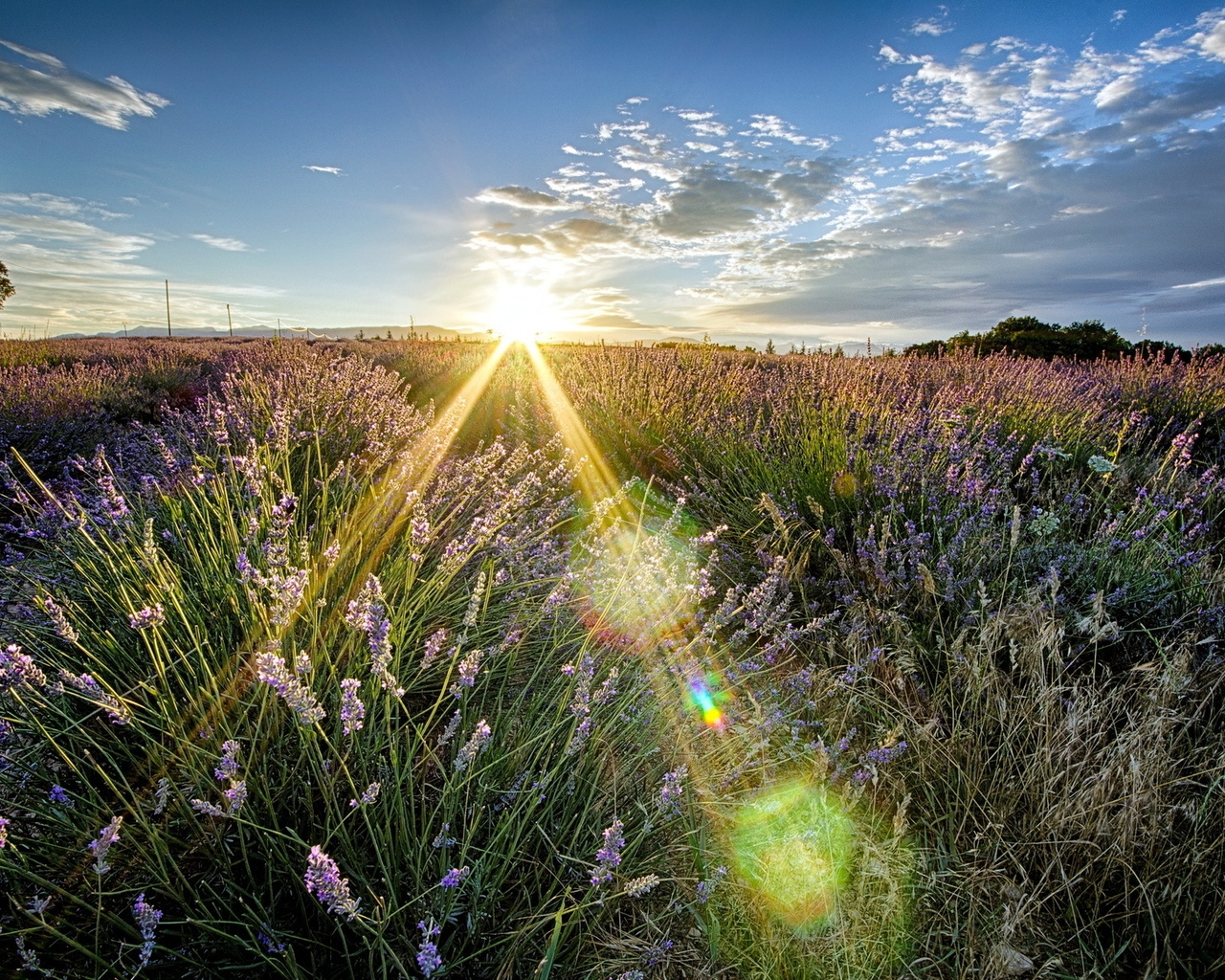 Природа, пейзаж Лето summer, nature, wallpaper 167 красивые обои рабочий стол