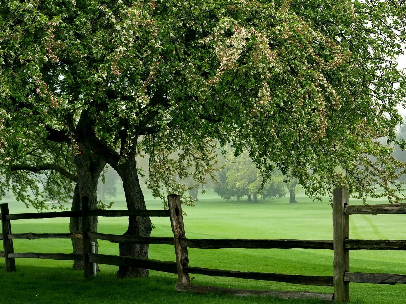 Природа, пейзаж Лето summer, nature, wallpaper 340 красивые обои рабочий стол